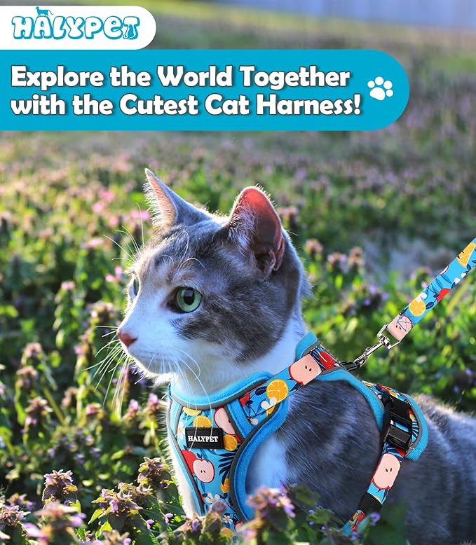 Halypet Cat Harness and Leash Set[MAX Safety 4th-Gen] Cute Escape Proof Vest Harness for Girl&Boy Cat Walking, Comfortable Adjustable Leash and Reflective Strips for Outdoor Kitten, M Azure Floral