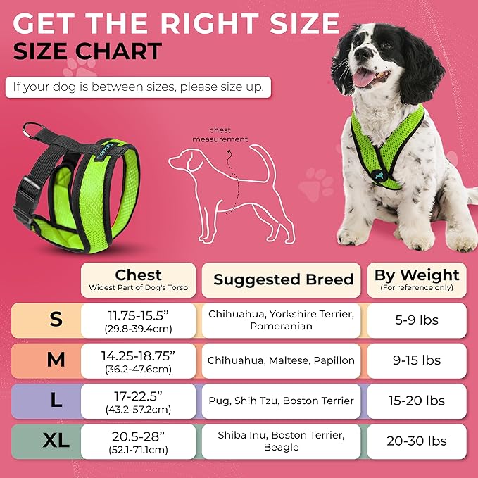 Gooby Comfort X Head In Harness - Green, Large - No Pull Small Dog Harness, Patented Choke-Free X Frame - Perfect on the Go Dog Harness for Medium Dogs No Pull or Small Dogs for Indoor and Outdoor Use