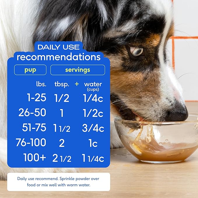 Native Pet Bone Broth for Dogs and Cats - Chicken Bone Broth Powder Dog Food Toppers for Picky Eaters - Provides Extra Nutrition for Joint Strength, Immune Support & Heart Health - 48 Scoops