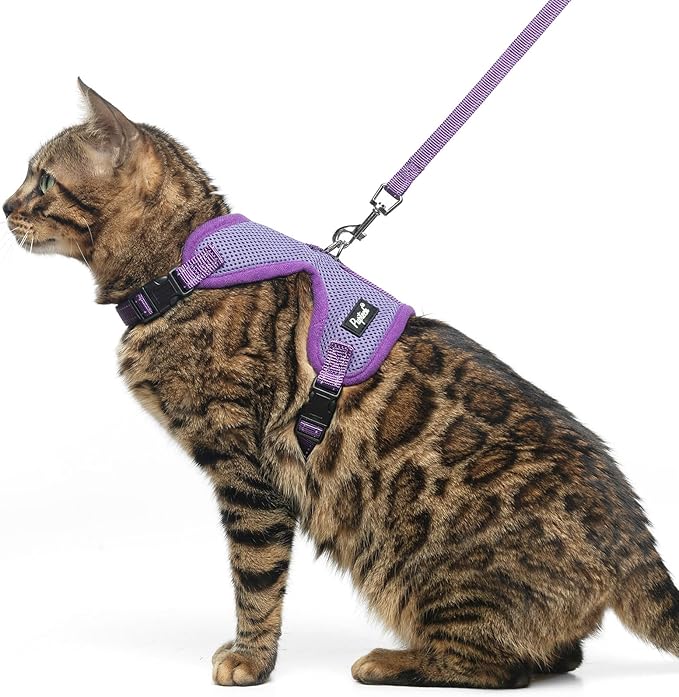 PUPTECK Cat Harness and Leash Set Escape Proof, Reflective Adjustable Soft Mesh Kitten Vest Harness for Walking Travel, Purple, S
