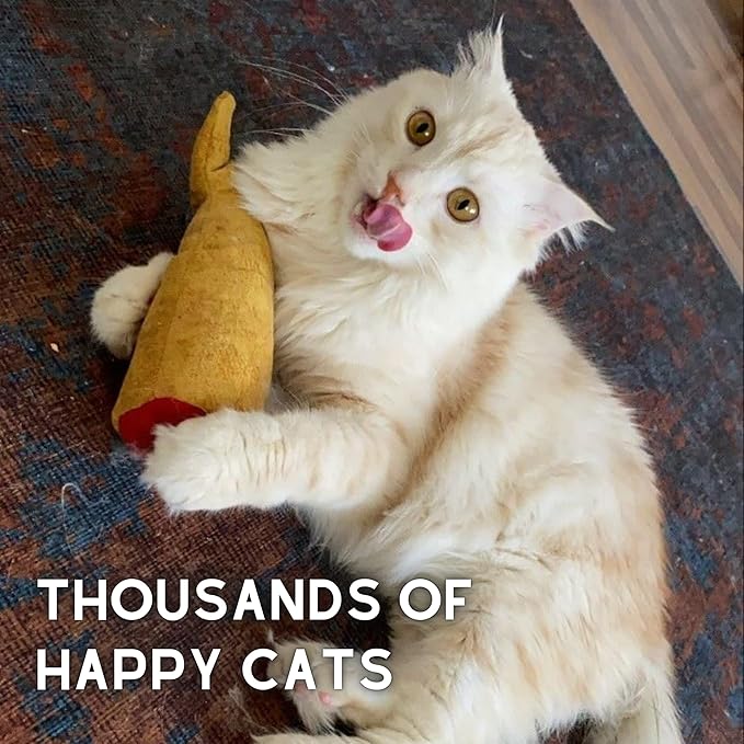 Fish Toy for Cats, Matatabi Silvervine Filled and Help Relief Anxiety, Kitten Catnip Essentials Treats Supplies Large Interactive Chew Big Kicker Toys for Indoor Cat (Golden)