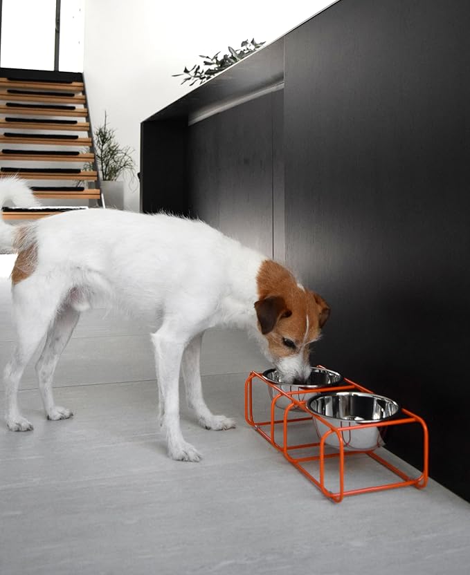 Wire & Dine Elevated Dog Bowls Stand for Small & Medium Sized Dogs & Cats - 2 Stainless Steel 3 Cup Dishes - Non-Skid, Modern Minimalist Design, Dishwasher Safe, Orange Frame - Made in USA