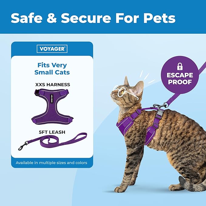 Voyager Escape Proof Cat Harness and Leash Set with Reflective Stitching, Neoprene Handle 5ft - Supports Small, Medium and Large Cats, Kittens for Walking by Best Pet Supplies - Purple, XXS