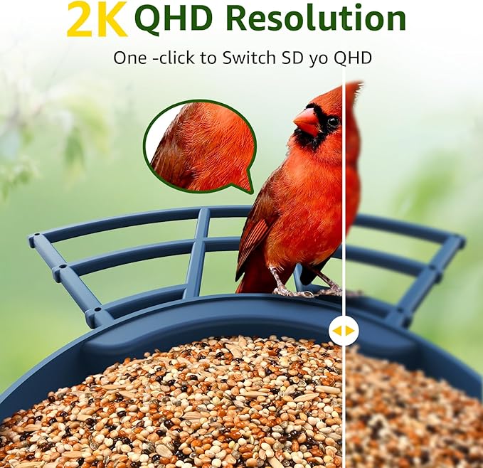 PeckCam® Smart Bird Feeder with Camera 2K HD Auto Detect & Notify, AI Identify 10000+ Birds Camera with Solar Panel 5 Perch Attachments Wireless Outdoor Birdwatching Gift for Birds Lover, Blue