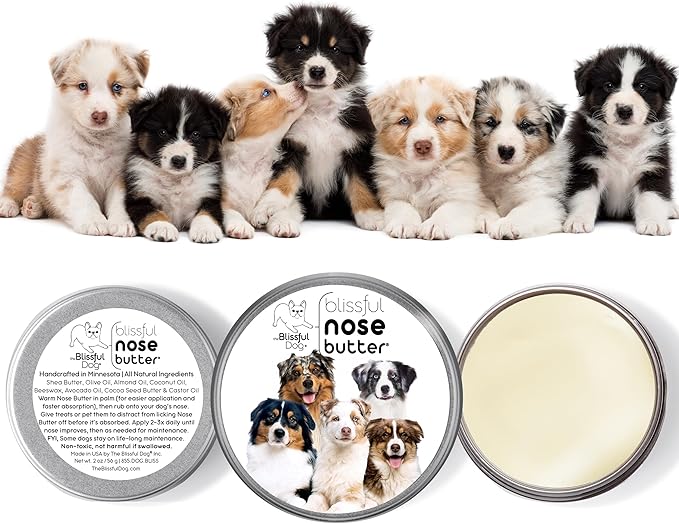The Blissful Dog Australian Shepherd Nose Butter for Dry, Cracked Skin, Lick-Safe Dog Nose Balm with Moisturizing Shea Butter, Almond, Olive, and Essential Oils, Pet Supplies, Uncented, 1 oz.