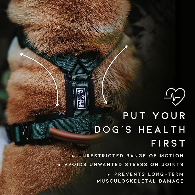 MADE TO ROAM Premium Explorer Harness - Y-Shaped Dog Harness with Adjustable Durable Nylon, Soft Padding, Metal Buckles and Leather Handle for Small, Medium, Large Dogs (Nevada Evening, Size 1)