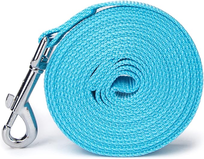 Strong Durable Nylon Dog Training Leash, 1 Inch Wide Traction Rope, 6 ft 10ft 15ft Long, for Small and Medium Dog (Mint Blue, 15 Feet)