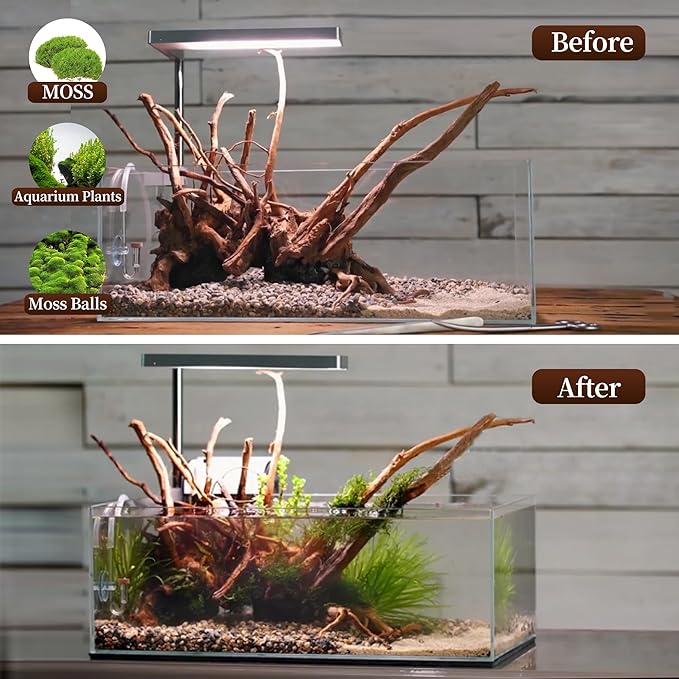 majoywoo Natural Large Driftwood for Aquarium Decor Reptile Decor, Assorted Spider Wood Branch 11-14" 2 Pcs, Fish Tank Decoration