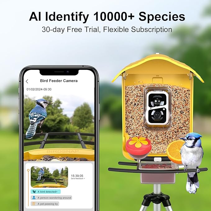 birdsnap® PAV- Smart Bird Feeder with Camera Solar Powered, 64GB Card & 2K HD Record Video Bird Camera Live with 5 DIY Add-ons, AI Identify Auto Capture, Ideal Gift for Birds Lover
