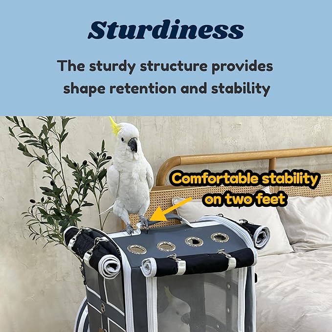 Birds Day Bird Carrier Backpack-Parrot Travel Cage with 2PCS Perch and Food Bowl, Stainless Steel Tray (Charcoal Gray, Cockatoo & Similar)