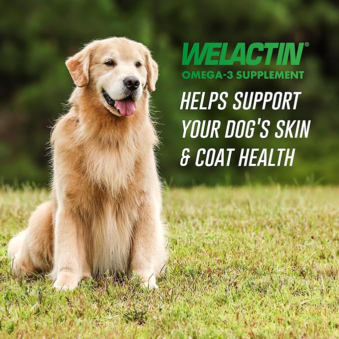 Nutramax Welactin 3 - Canine 120 - Softgel Caps, Welactin Omega-3 Skin and Coat Support