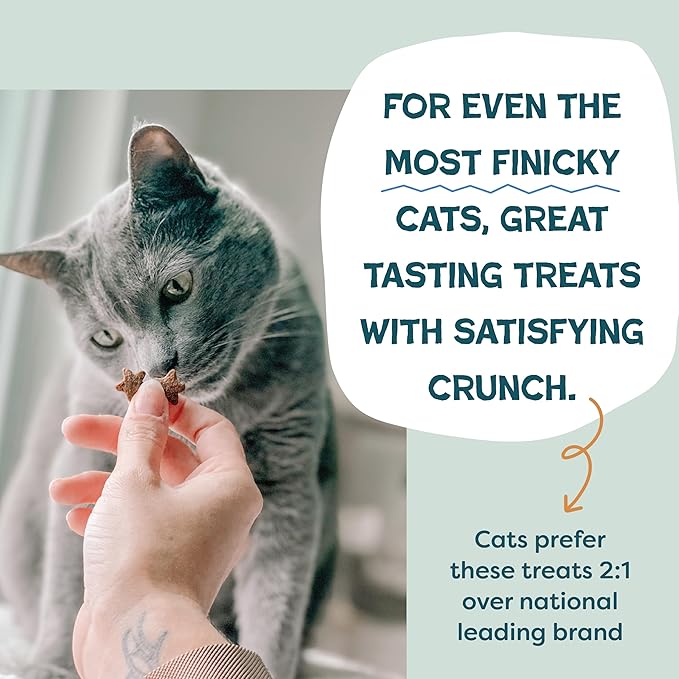 Shameless Pets Crunchy Cat Treats - Catnip Treats for Cats with Digestive Support, Kitten Treats with Real Ingredients, Natural & Healthy Flavored Feline Snacks - Catnip N Chill Chicken Liver, 12 oz