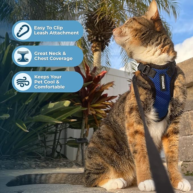 Voyager Step-in Lock Adjustable Cat Harness w. Cat Leash Combo Set with Neoprene Handle 5ft - Supports Small, Medium and Large Breed Cats by Best Pet Supplies - Royal Blue/Black Trim, XXS