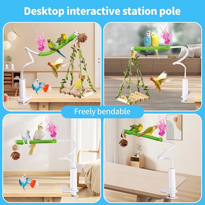 Bird Toys,Free Bending Bird Perch Stand with Climbing Ladder, Desktop Stand for Interacting, Parakeet Playground Play Stand for Lovebirds Conure,Mount for Budgie, Cockatiel, Conure