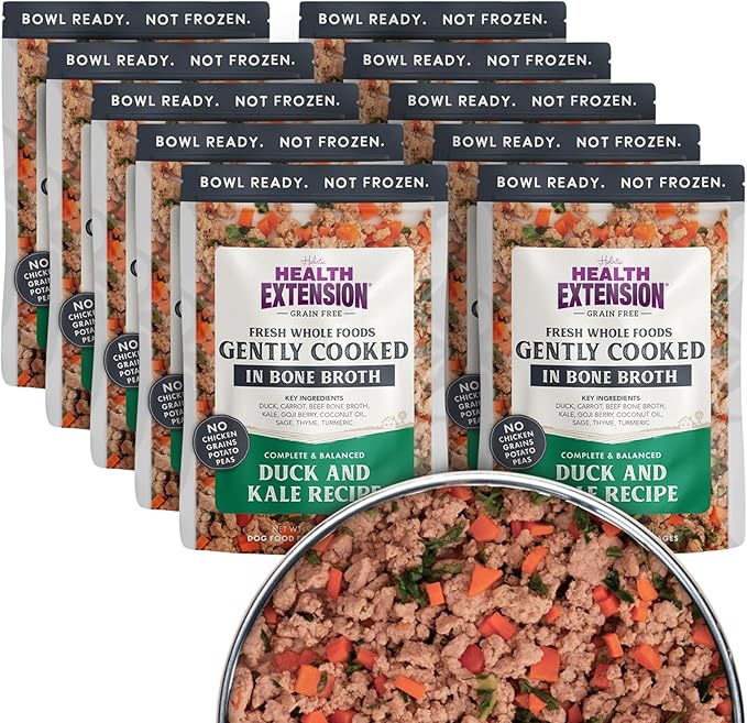 Health Extension Gently Cooked Grain-Free Duck & Kale Dog Food, Human-Grade & Shelf-Stable with Superfoods, Supports Digestion, Immunity, Skin & Coat, 9 oz Pouch (Pack of 10)