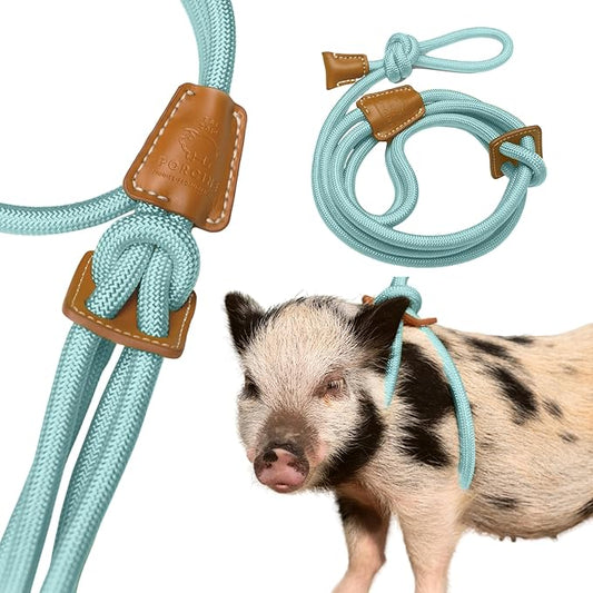 PORCINE® Mini Pig Harness & Leash – Fully Adjustable Step-in Harness with Infinity-Style Lead - Ideal for Small & Medium Potbelly Pigs – Durable, Comfortable, Easy-On Easy-Off (Small Eggshell Blue)