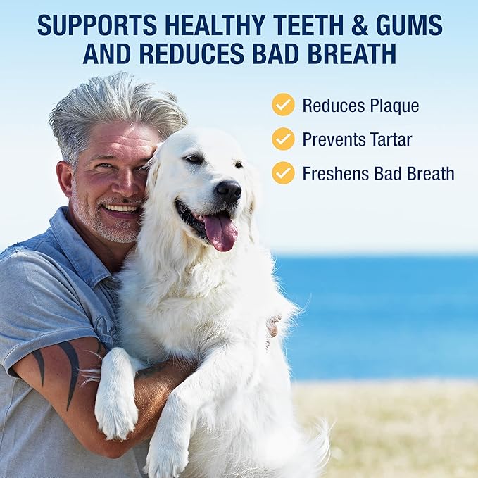 ProDen PlaqueOff Powder for Pets - Cat & Dog Breath Freshener - Plaque & Tartar Remover for Pet Oral Care - 180g