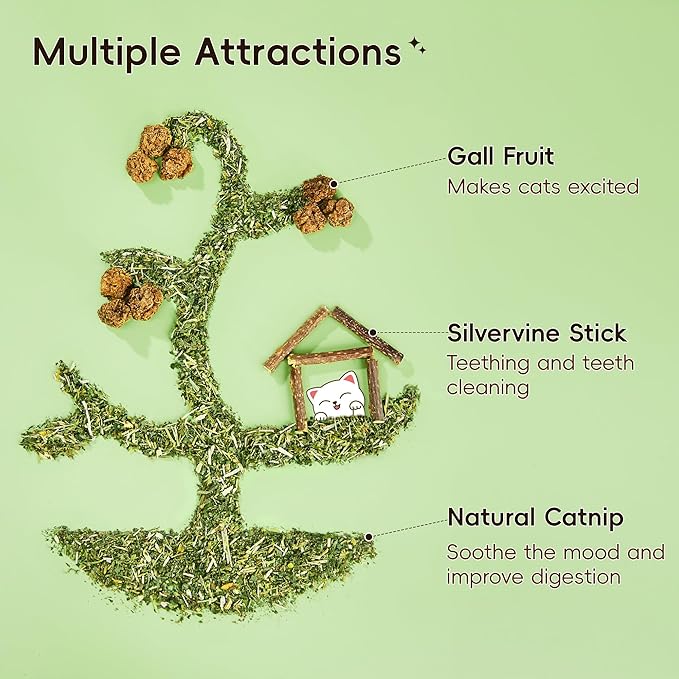 Potaroma Natural Catnip Silvervine Gall Fruit Cat Toys Set with Plush Shell, Organic Kitten Toys for Relaxing and Teething, Interactive Cat Kicker Set (2.2" Dia Tubes)