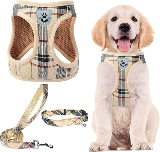 PUPTECK Adjustable Pet Harness Collar &Leash Set Step in for Small Dogs Puppy &Cats Outdoor Training &Running, Soft Mesh Padded Reflective Vest Harness,M: Chest girth: 16-18in Collar: 11.8-15.7in