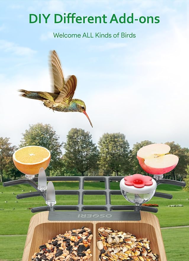 Osoeri Smart Bird Feeder with Camera, 1080P HD AI Identify & Capture Bird Videos, Auto Motion Detection, DIY Add-ons & Hummingbird Feeder, Wood Color-2 Bins