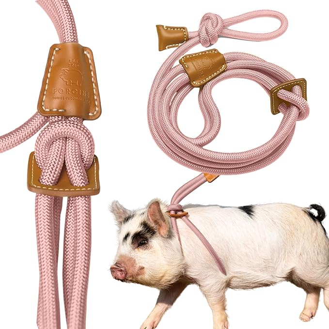 PORCINE® Mini Pig Harness & Leash – Fully Adjustable Step-in Harness with Infinity-Style Lead - Ideal for Medium & Large Potbelly Pigs – Durable, Comfortable, Easy-On Easy-Off (Large Mauve Pink)