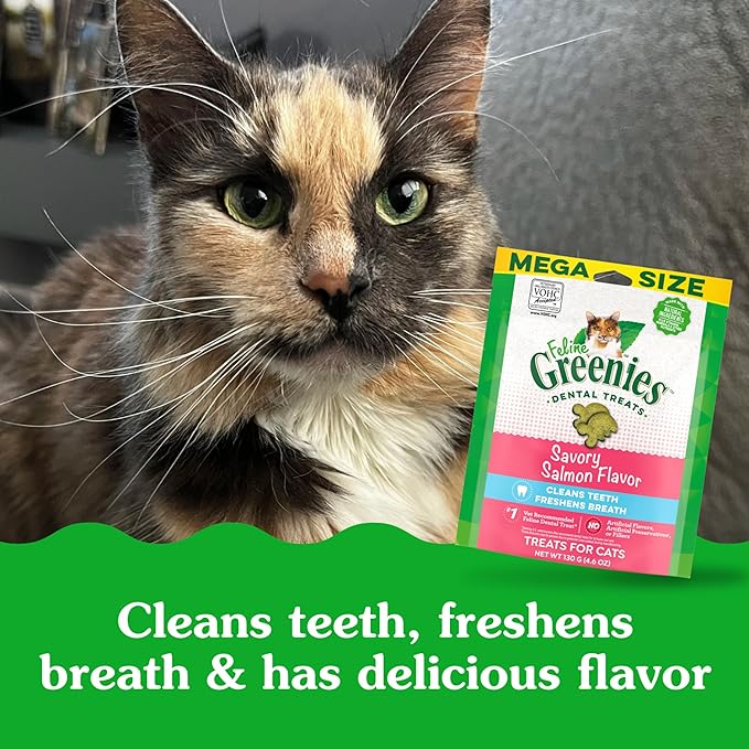 Greenies Feline Adult Dental Cat Treats, Savory Salmon Flavor, 4.6 oz. Pack