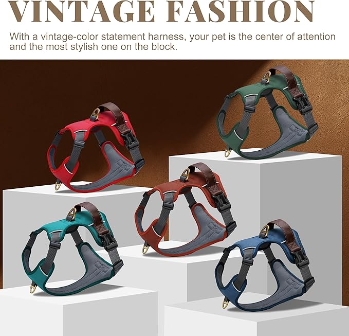 No Pull Dog Harness Small Sized Dog,Stylish PU Leather Vest with Easy Control Handle,No Choke Front Clip with 2 Metal Leash Clips,Reflective & Adjustable for Walking,Red,Chest 19-24"