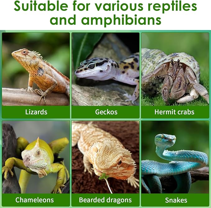 3Pcs Reptile Water Dish Hermit Crab Water Bowl Small Reptile Feeding Dish for Bearded Dragon Lizard Leopard Gecko