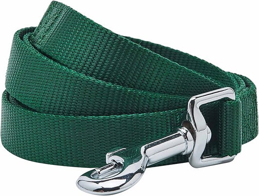 Blueberry Pet Essentials Verdant Green Dog Leash for Small -5' * 5/8" Dogs | Heavy Duty Nylon Lead | Lightweight Puppy & Cat Leash for Walking & Training