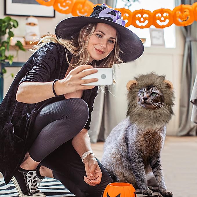 Cat Halloween Costumes - Lion Mane Wig for Cats & Puppies, Adjustable Pet Cosplay Apparel Kitten Outfits for Halloween Christmas Cat Birthday Party (Grey)