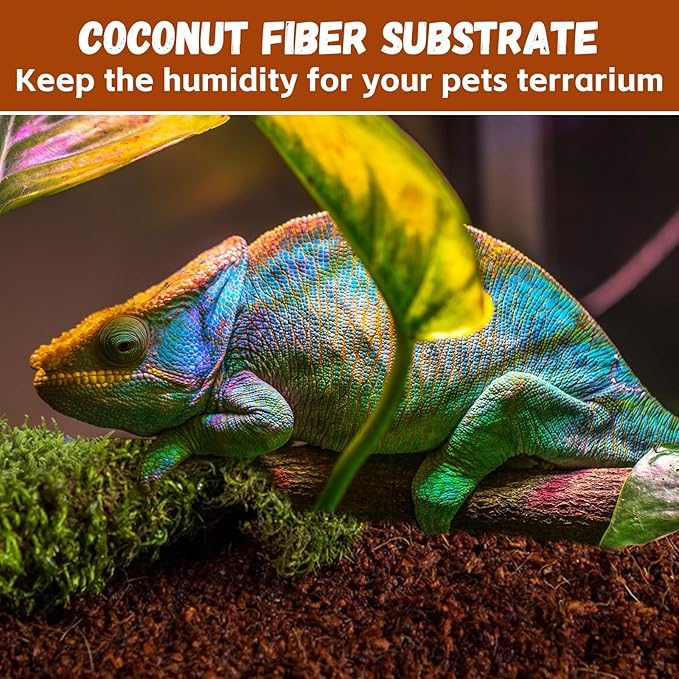 Legigo 6 Pack Compressed Coconut Fiber Substrate - 100% Organic Coconut Fiber Brick Bedding for Reptiles, Natural Coco Husk Substrate Terrarium Bedding for Snake, Hermit Crabs, Frogs, Tortoise, Gecko