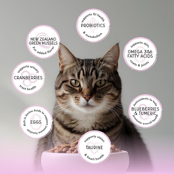 Blackwood Bounty Dry Cat Food, Red Meat Recipe for All Life Stages, 4.5 Pound Bag, High Protein, Grain Free