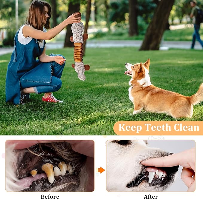 Squeaky Dog Toys, Stuffed Large Dog Toys to Keep Them Busy, Interactive Plush Chew Toys with Crinkle Paper, Tough Pet Animal Toys for Small Medium Large Dogs - Platypus