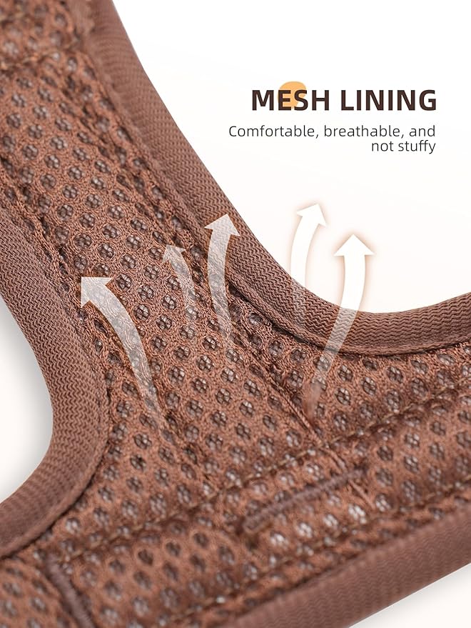 Blue Medium No Pull Dog Harness for Small Dogs, Anti-Escape Easy Walk Puppy Harness with 2 Leash Clips, Adjustable Dog Vest Harness for Training Walking(Blue, M)