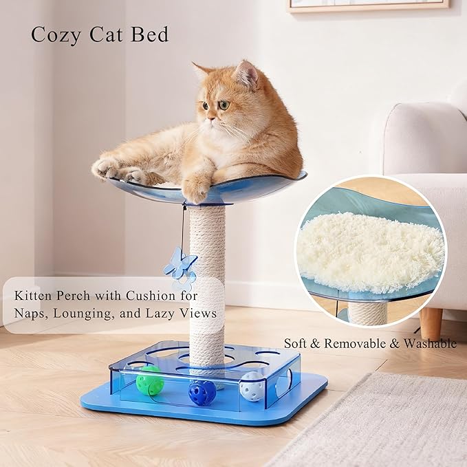 Modern 3-in-1 Interactive Cat Toy with Puzzle Box, Cat Bed/Perch & Scratching Posts, Colorful Jingle Balls, Dangling Accent, Puzzle Toys for Indoor Cats, Acrylic, Blue