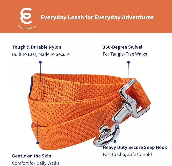 Blueberry Pet Essentials Orange Vermilion Dog Leash for Medium - Large - 4' * 1" Dogs | Heavy Duty Nylon Lead | Lightweight Puppy & Cat Leash for Walking & Training