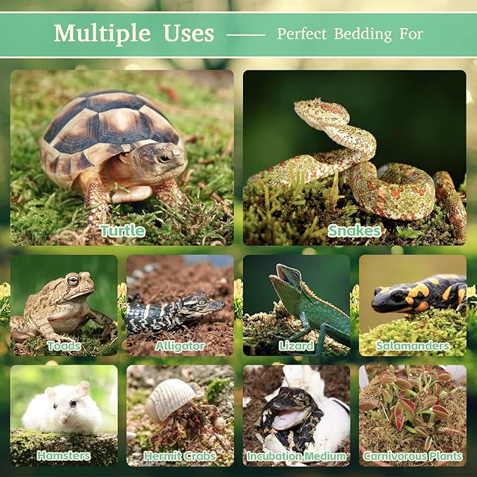 Riare 14OZ Premium Sphagnum Moss for Reptiles- 20QT Natural Reptile Moss Dried, Forest Live Moss for Terrarium, Frogs Snake Peat Moss Bedding for Leopard Gecko Turtle Anoles Salamanders Orchids Plants