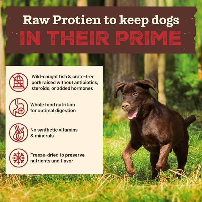 Primal Kibble in The Raw, Freeze Dried Dog Food, Fish & Pork, Scoop & Serve, Made with Raw Protein, Whole Ingredient Nutrition, Crafted in The USA, Dry Dog Food 1.5 lb Bag