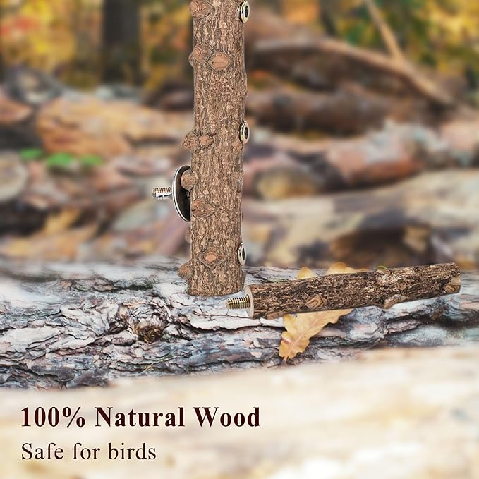 CozyCabin Natural Bird Ladder Stand, Hanging Multi Branch Grapevine Parrot Perch Bird Cage Toys for Small Budgies Conure Parakeets Cockatiels Lovebirds (Ladder)