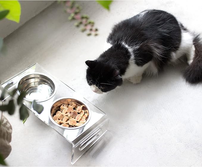 Tilted Raised Elevated Food and Water Bowls Stand for Cat or Small Dogs - Puppy's Clear Acrylic Stainless Steel Dishes Holder for Boy or Girl Pet,Modern,Durable and Easy to Clean by WBhonghui (Clear)