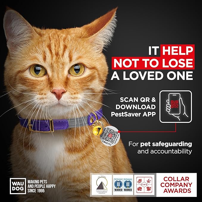 WAUDOG Ultra Soft Rolled Leather Cat Collar with Removable Bell, Safety Elastic Strap and QR ID Tag - Soft Padded for Small, Medium, and Large Cats - Round Kitten Collar for Male and Female Cats