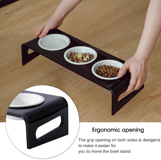 Tilted Raised Elevated Food and Water Bowls Stand for Cat or Small Dogs - Puppy's Clear Acrylic Stainless Steel 3 Dishes Holder for Boy or Girl Pet by WBhonghui (Black-3bowls)
