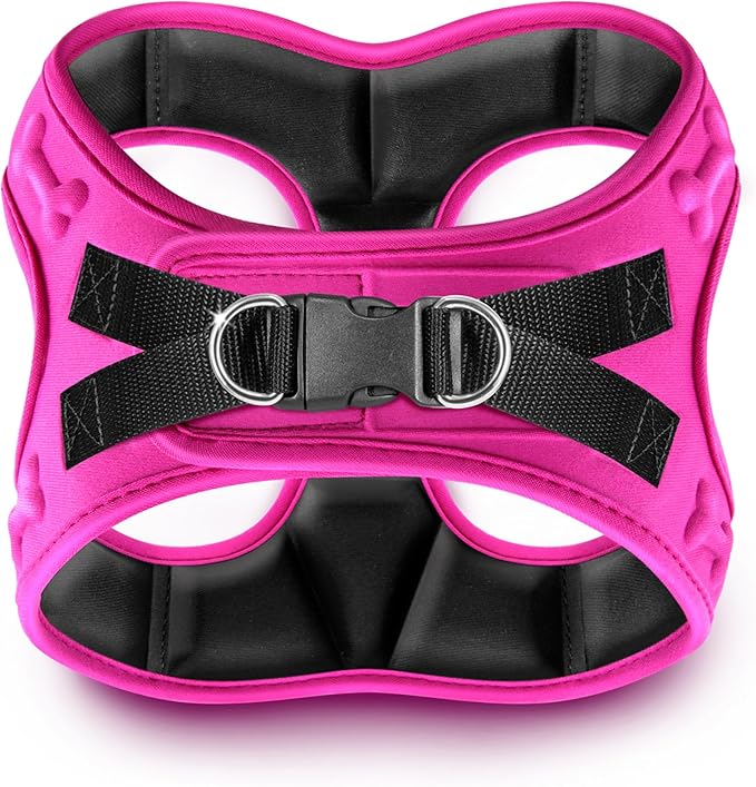 Comfort Fit No Pull Dog Harness – Adjustable Step-in Vest for Small, Medium & Large Dogs, Soft Padded with Leash Clips, Reflective Straps & Handle