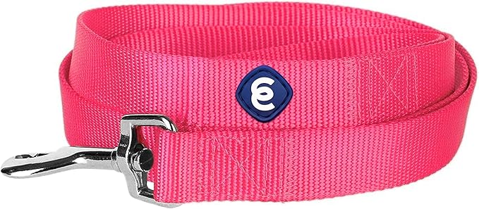 Blueberry Pet Essentials French Pink Dog Leash for Small -5' * 5/8" Dogs | Heavy Duty Nylon Lead | Lightweight Puppy & Cat Leash for Walking & Training