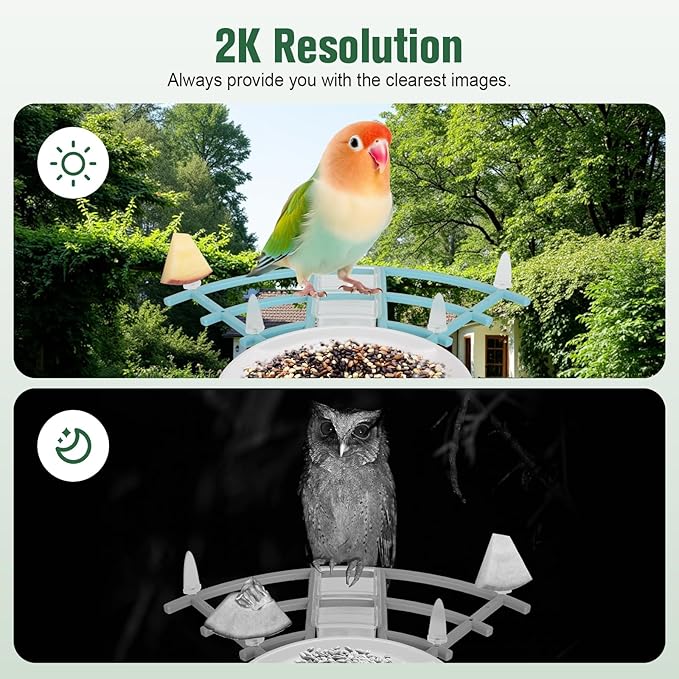 Bird Feeder with Camera,AI Identify Birds Species,Solar Powered,Auto Record Videos in Backyard,Instant Notifications,Ideal Gift for Family and Bird Lovers