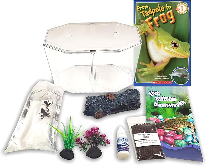 African Dwarf Frog Starter Kit- Includes Certificate for 2 Live Frogs- All-in-One Bundle with Book, Small Aquarium, Food, Instructions Now