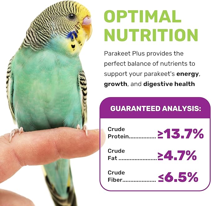 LEACH GRAIN & MILLING CO. Parakeet Food Plus, 5lbs Premium Parakeet Bird Food, Nutrient-Rich Blend, No Waste Bird Seed for Outside Feeders, Birdseed with Vitamins & Minerals, Supports Energy & Growth