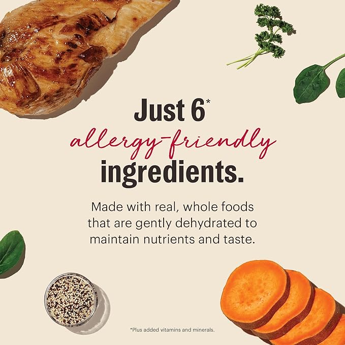 The Honest Kitchen Wholemade™ Limited Ingredient Chicken Dog Food, 10 lb Box