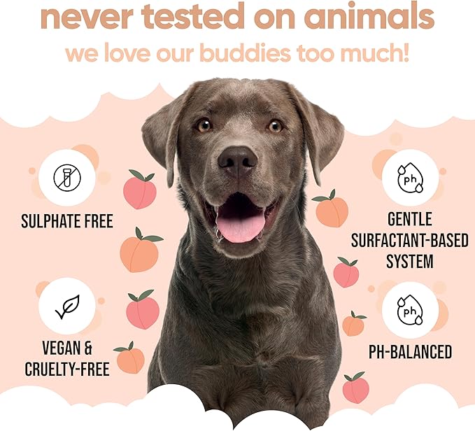 Curly Coat Dog Shampoo by Buddycare | Deep Cleansing Shampoo for Dogs | Fresh Scented | with Aloe Vera and Pro Vitamin B5 (169.07oz)