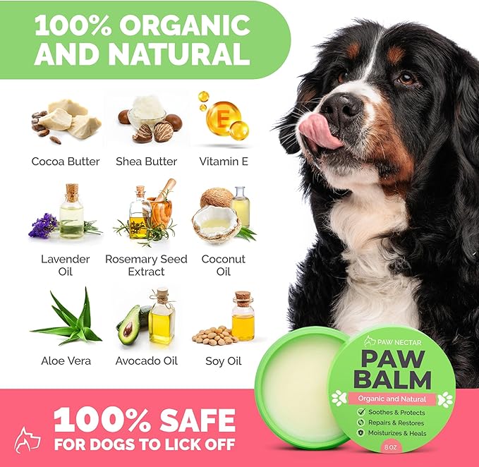 Natural Lick Safe Dog Paw Balm 8oz - 100% Organic Dog Paw Pad Balm Protector, Moisturizer & Soother for Dry Cracked Paws, Hot Pavement, Winter - Heals, Repairs & Restores - Coconut Oil, Shea Butter